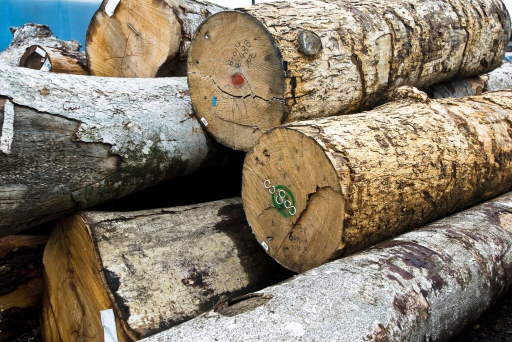 Jak suszyć i sezonować drewno