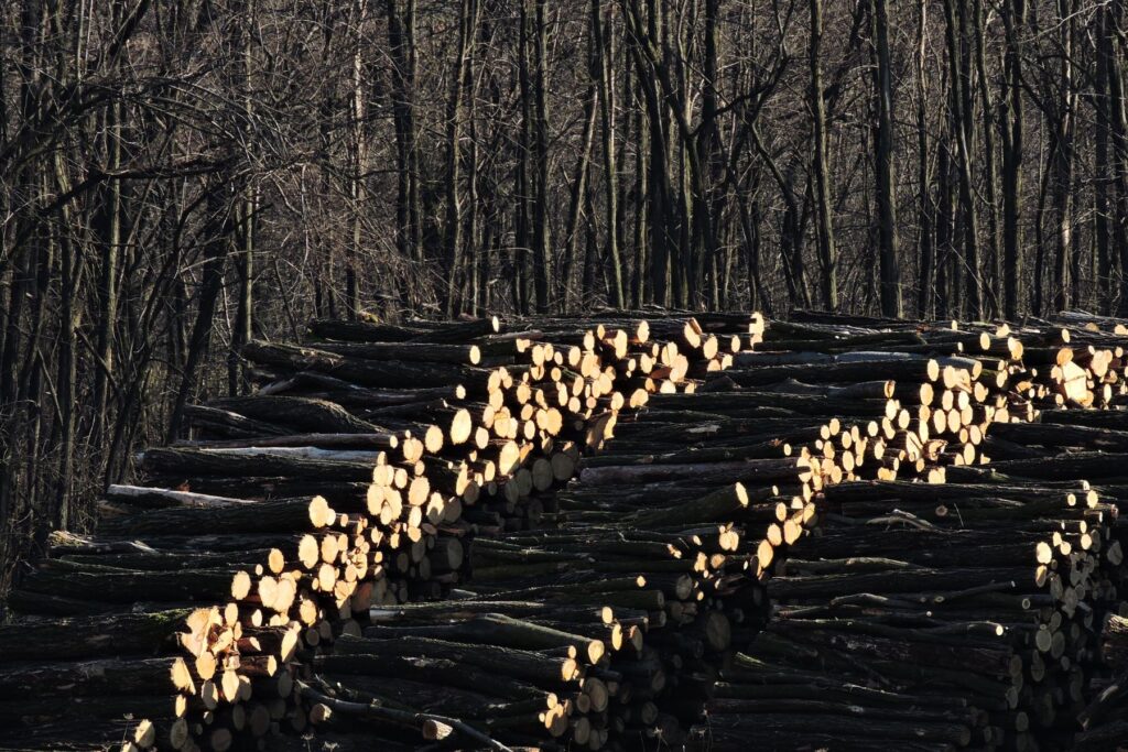 Metrówki poskładane w stos