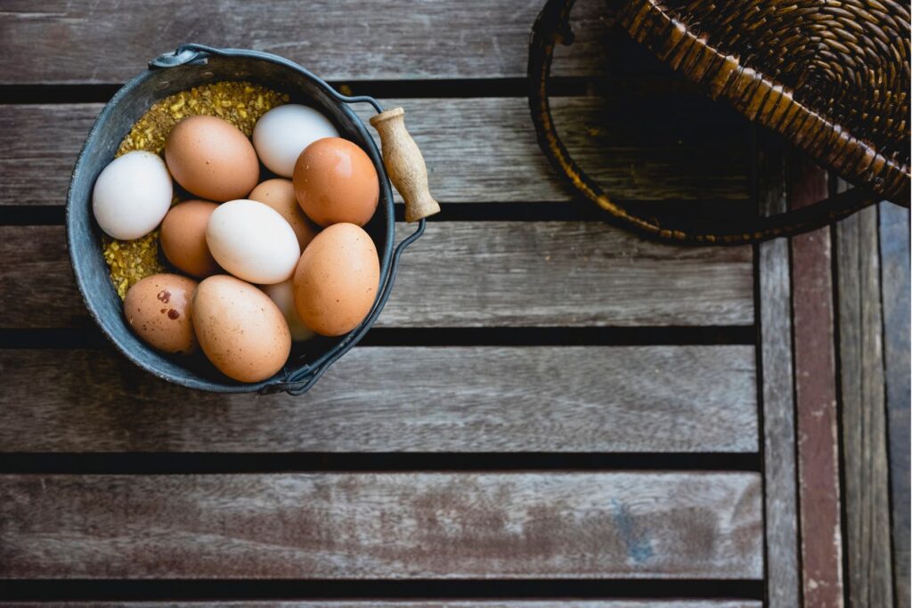 Ptaszyniec kurzy negatywnie wpływa na nieśność kur