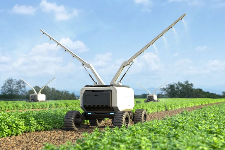 Sztuczna inteligencja w rolnictwie