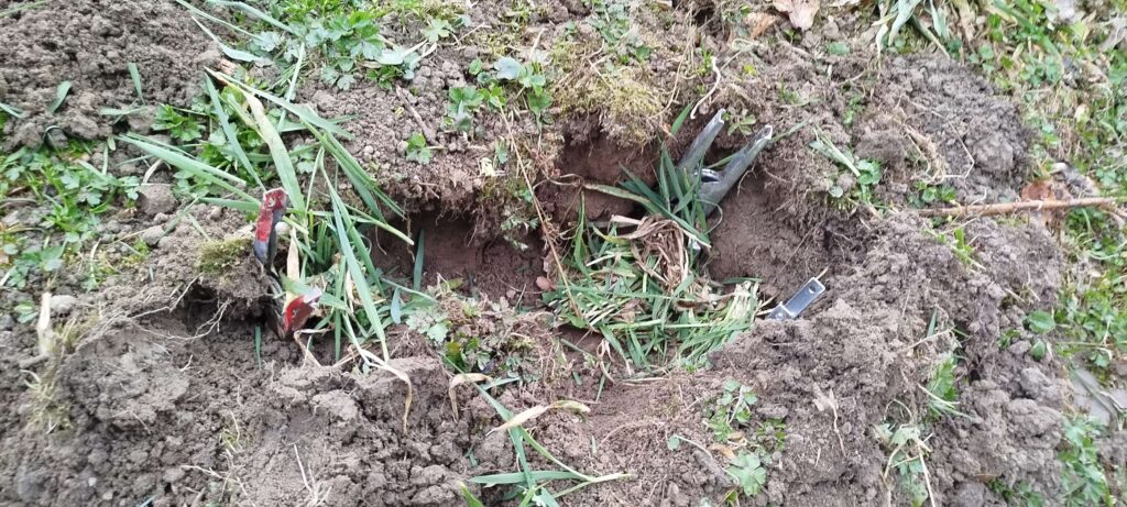 Pułapki zastawione na karczownika