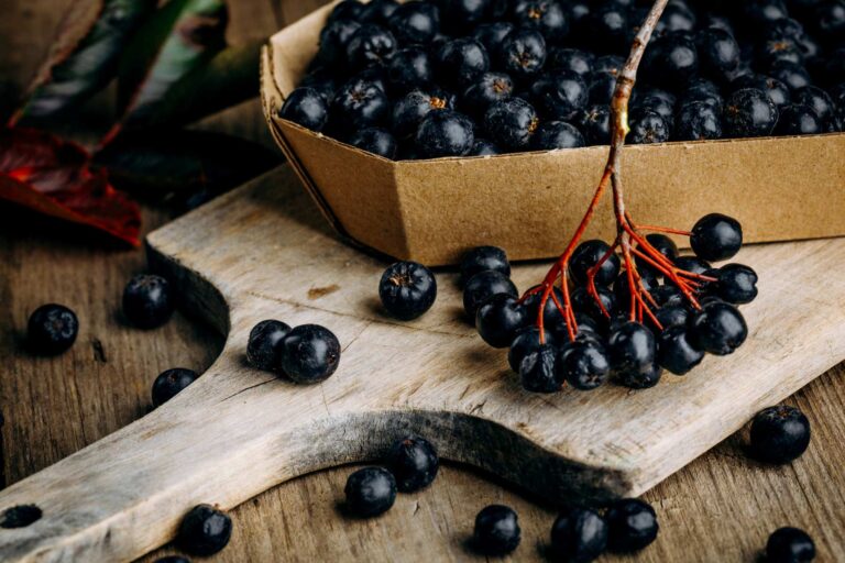 Aronia